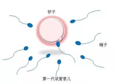 方鉴生殖医学中心 · 门诊环境